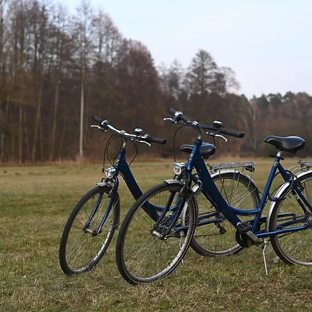 Ferienhaus-park Brennickenswerder Лихен