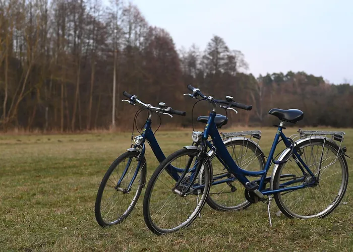 Ferienhaus-park Brennickenswerder Lychen